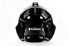ORIGINAL goalie mask