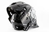 ORIGINAL goalie mask