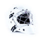 ORIGINAL goalie mask