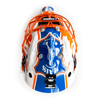 Original goalie mask airbrushing