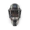 Sharky goalie mask airbrushing