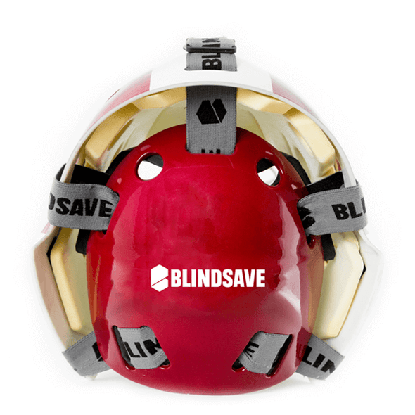 Original goalie mask airbrushing